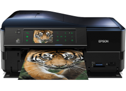 sửa máy in Epson XP 830